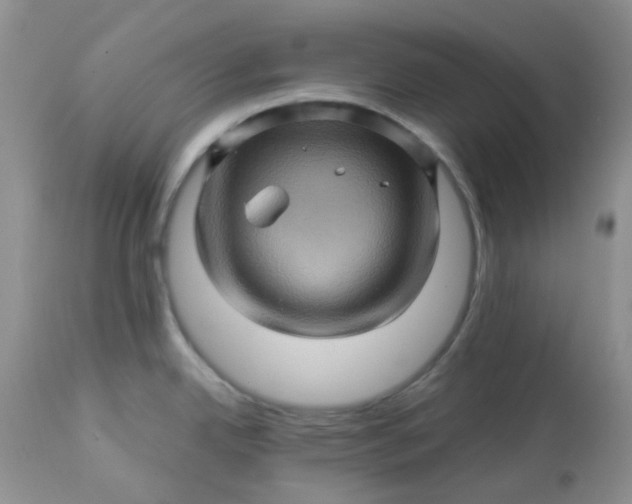 X0000113571342200910091430