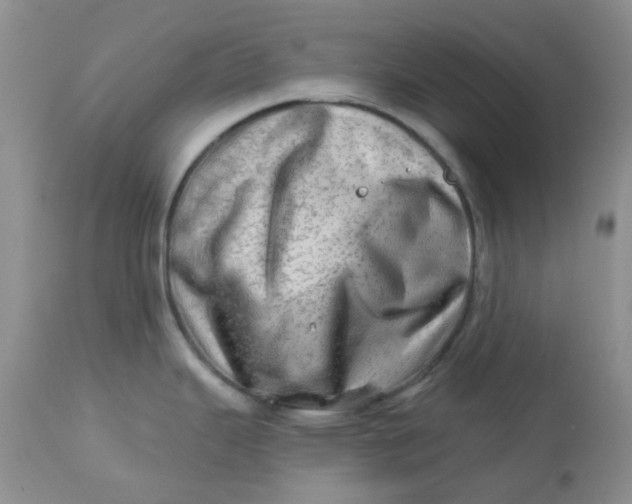 X0000113571343200910091430