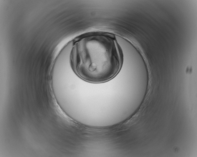 X0000113571344200910091430