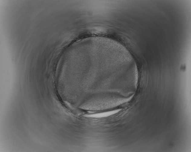 X0000113571345200910091429