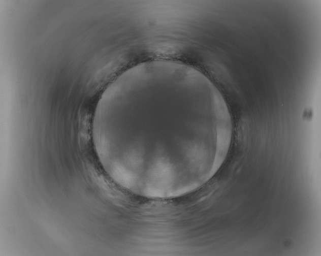 X0000113571346200910091429