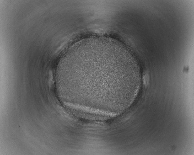 X0000113571347200910091429