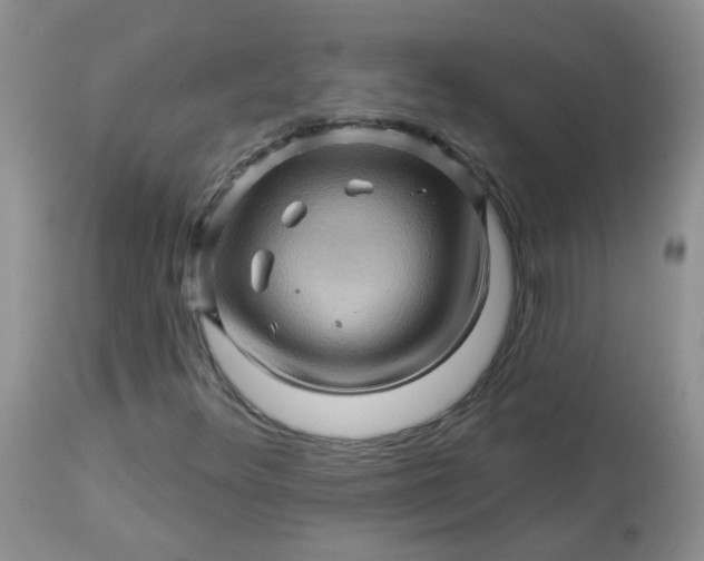 X0000113571348200910091429