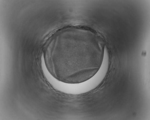 X0000113571349200910091429