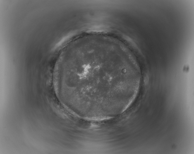 X0000113571350200910091429