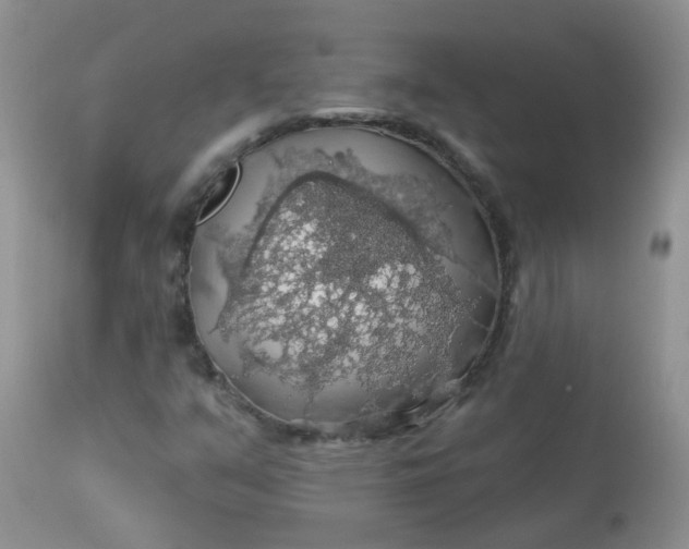 X0000113571351200910091429