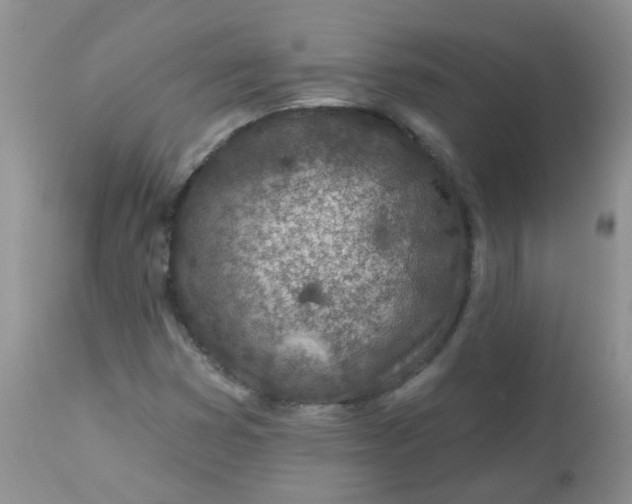 X0000113571353200910091429