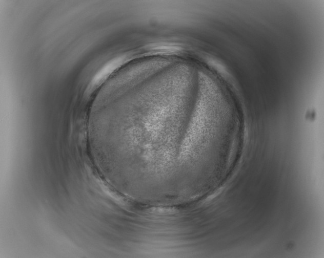 X0000113571354200910091429