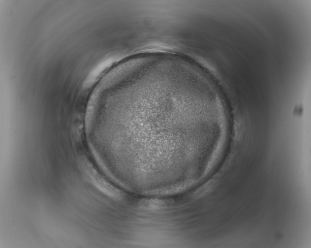 X0000113571355200910091429