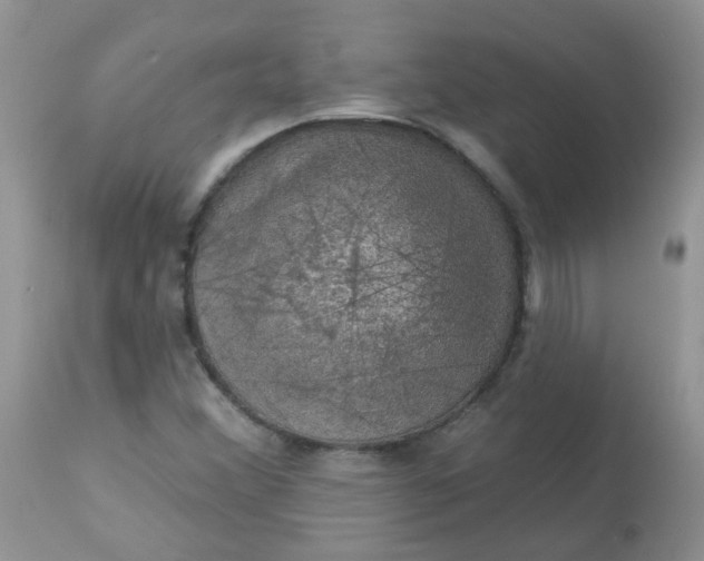 X0000113571356200910091429