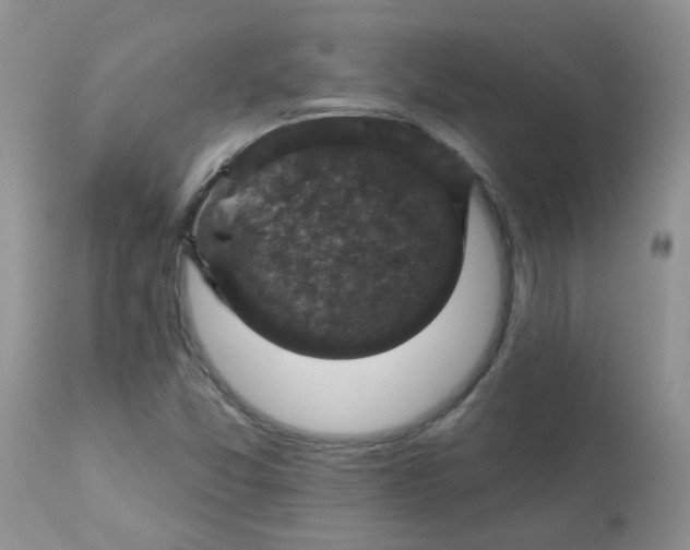 X0000113571357200910091429