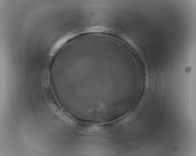 X0000113571358200910091429