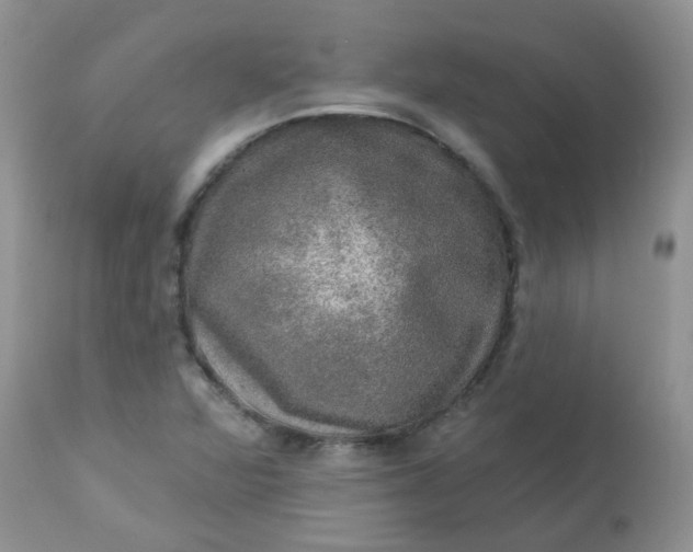 X0000113571360200910091429