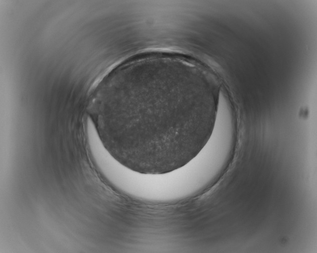 X0000113571361200910091429