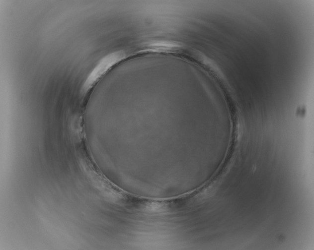 X0000113571362200910091429