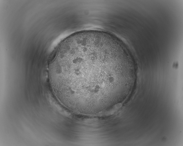 X0000113571363200910091429