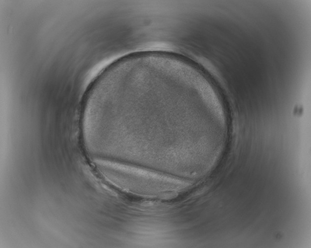 X0000113571364200910091429