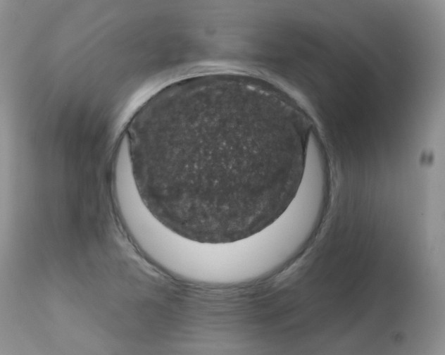 X0000113571365200910091429