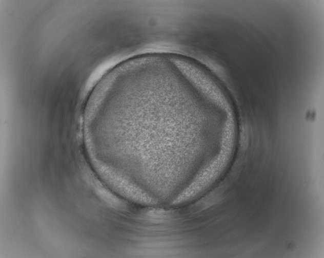 X0000113571366200910091429