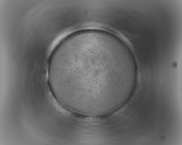 X0000113571368200910091429