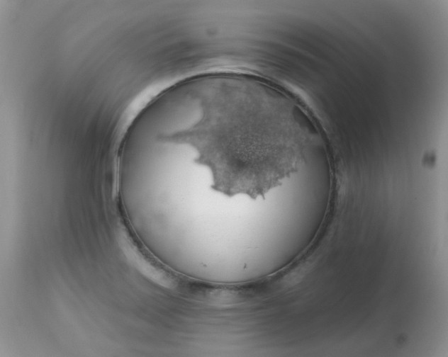 X0000113571371200910091429