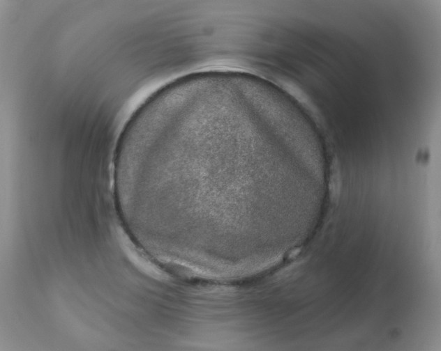 X0000113571372200910091429