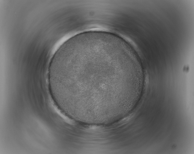 X0000113571375200910091429