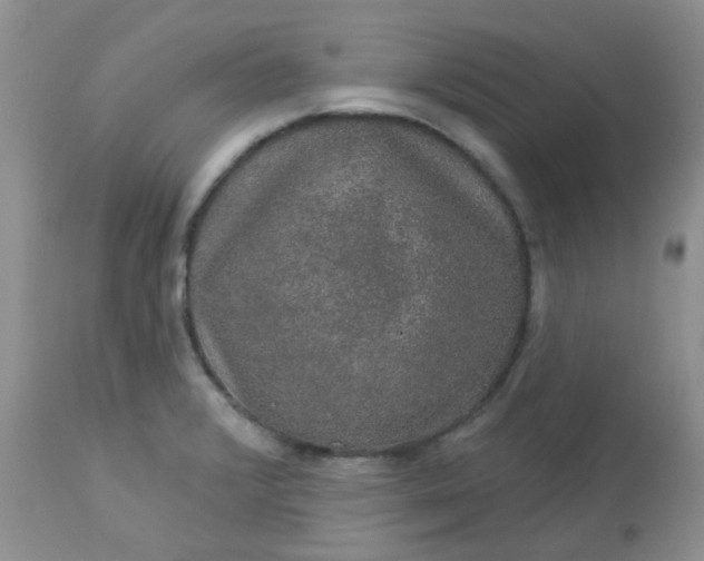 X0000113571376200910091429