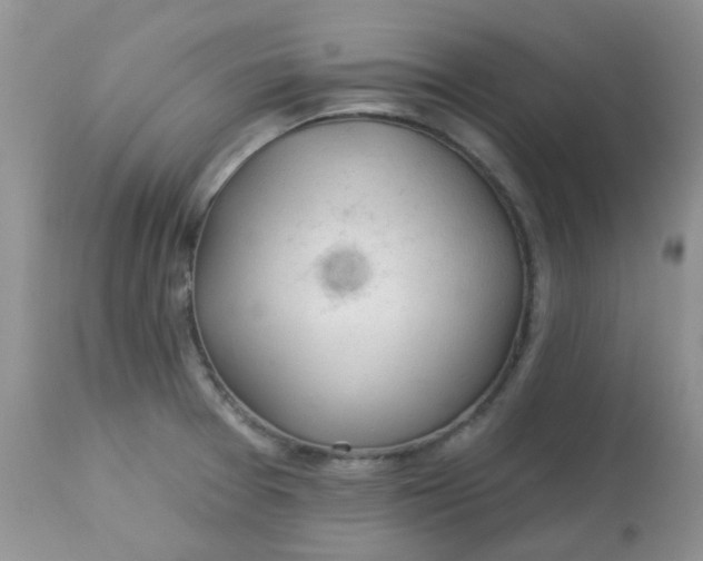 X0000113571377200910091429