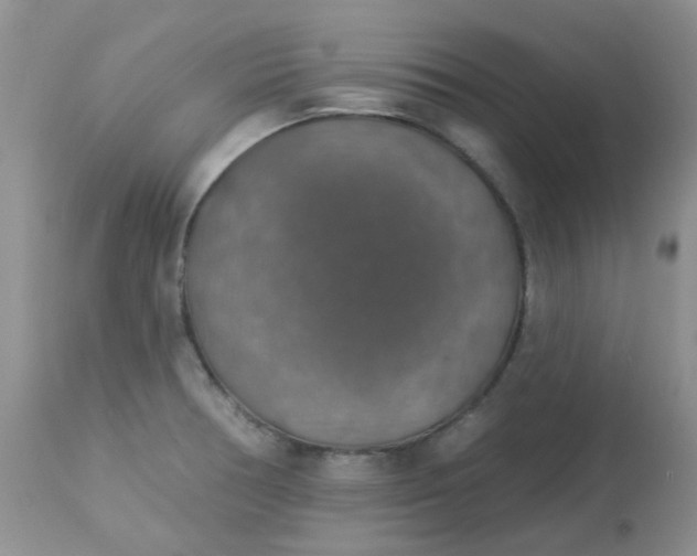 X0000113571378200910091429