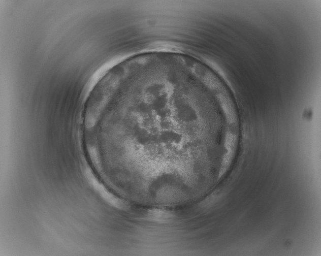 X0000113571379200910091429