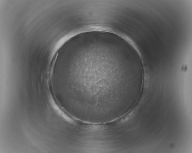 X0000113571381200910091429