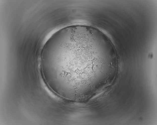 X0000113571383200910091428