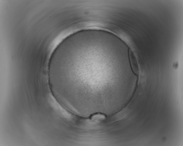 X0000113571384200910091428