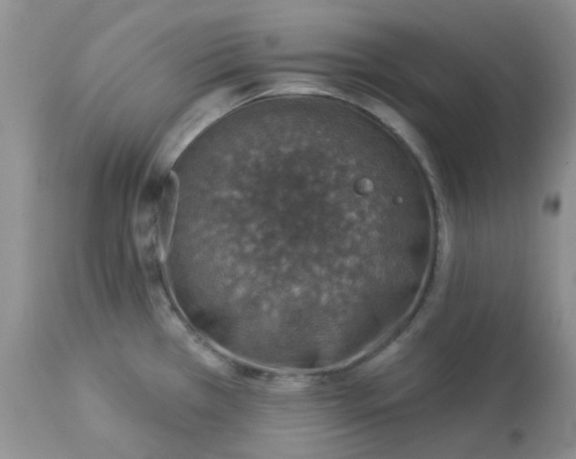 X0000113571385200910091428