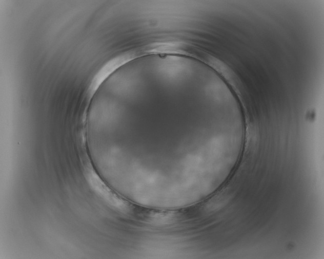 X0000113571386200910091428