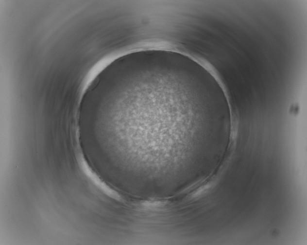 X0000113571389200910091428