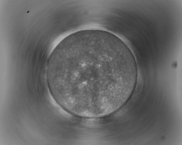 X0000113571390200910091428