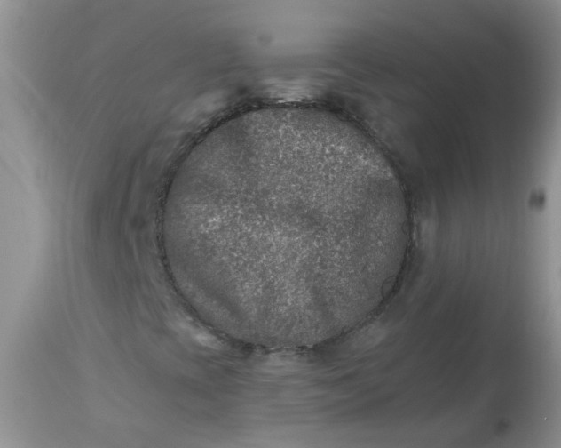 X0000113571393200910091428