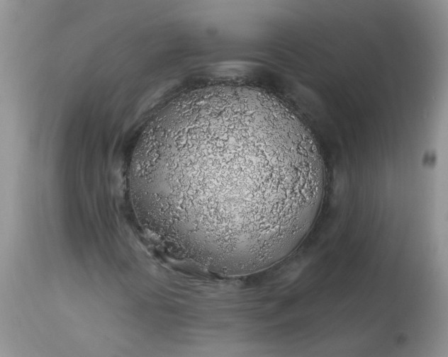 X0000113571394200910091428