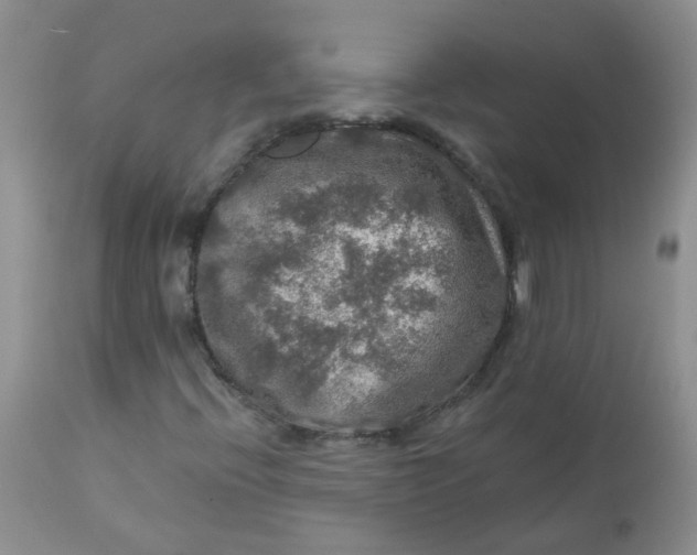 X0000113571396200910091428