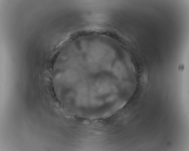 X0000113571397200910091428