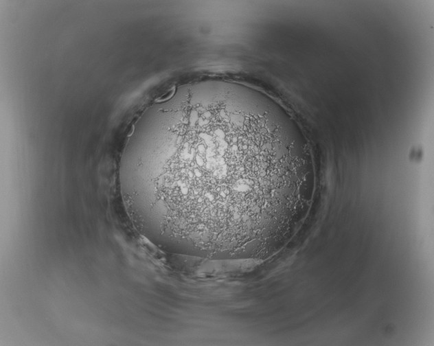 X0000113571398200910091428