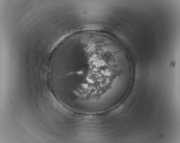 X0000113571401200910091428