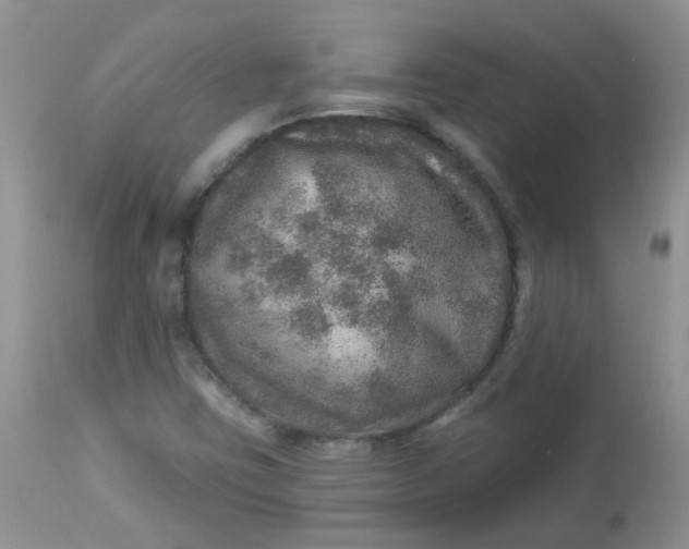 X0000113571403200910091428