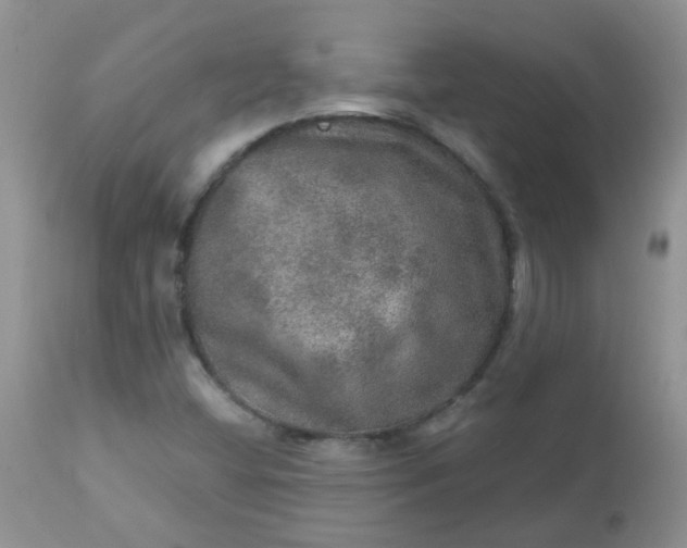 X0000113571404200910091428