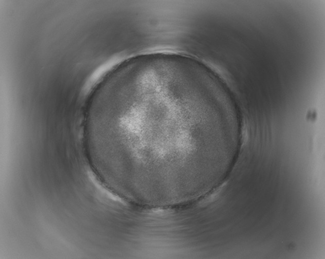 X0000113571406200910091428