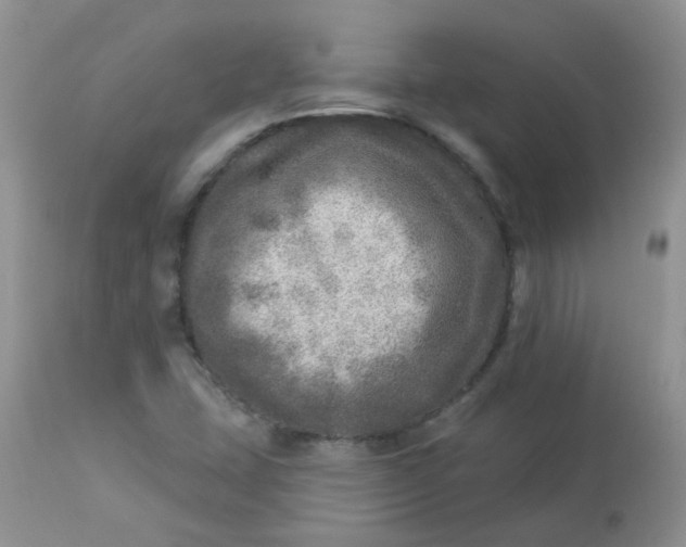 X0000113571407200910091428