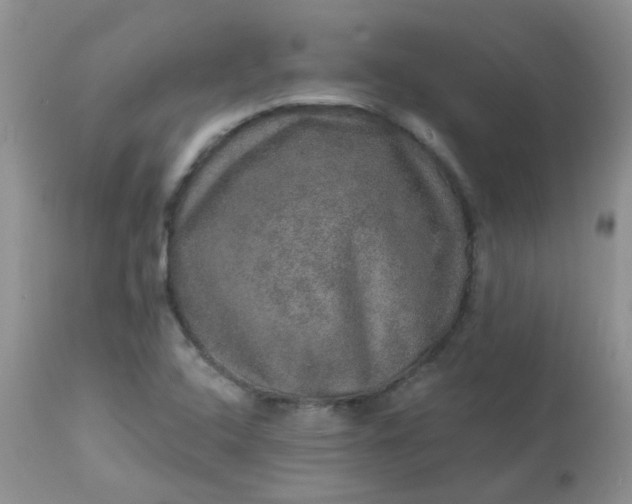 X0000113571408200910091428