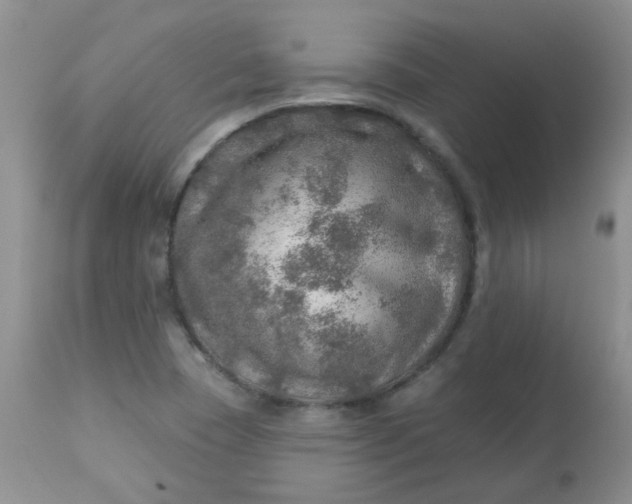 X0000113571409200910091428